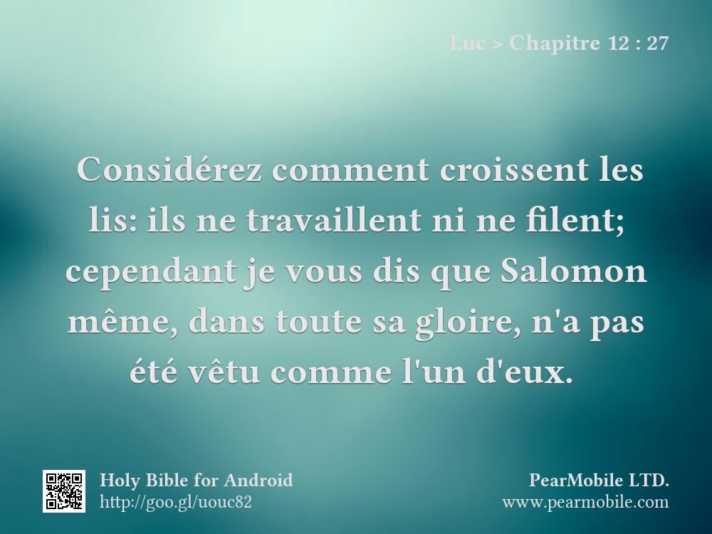 Luc, Chapitre 12:27